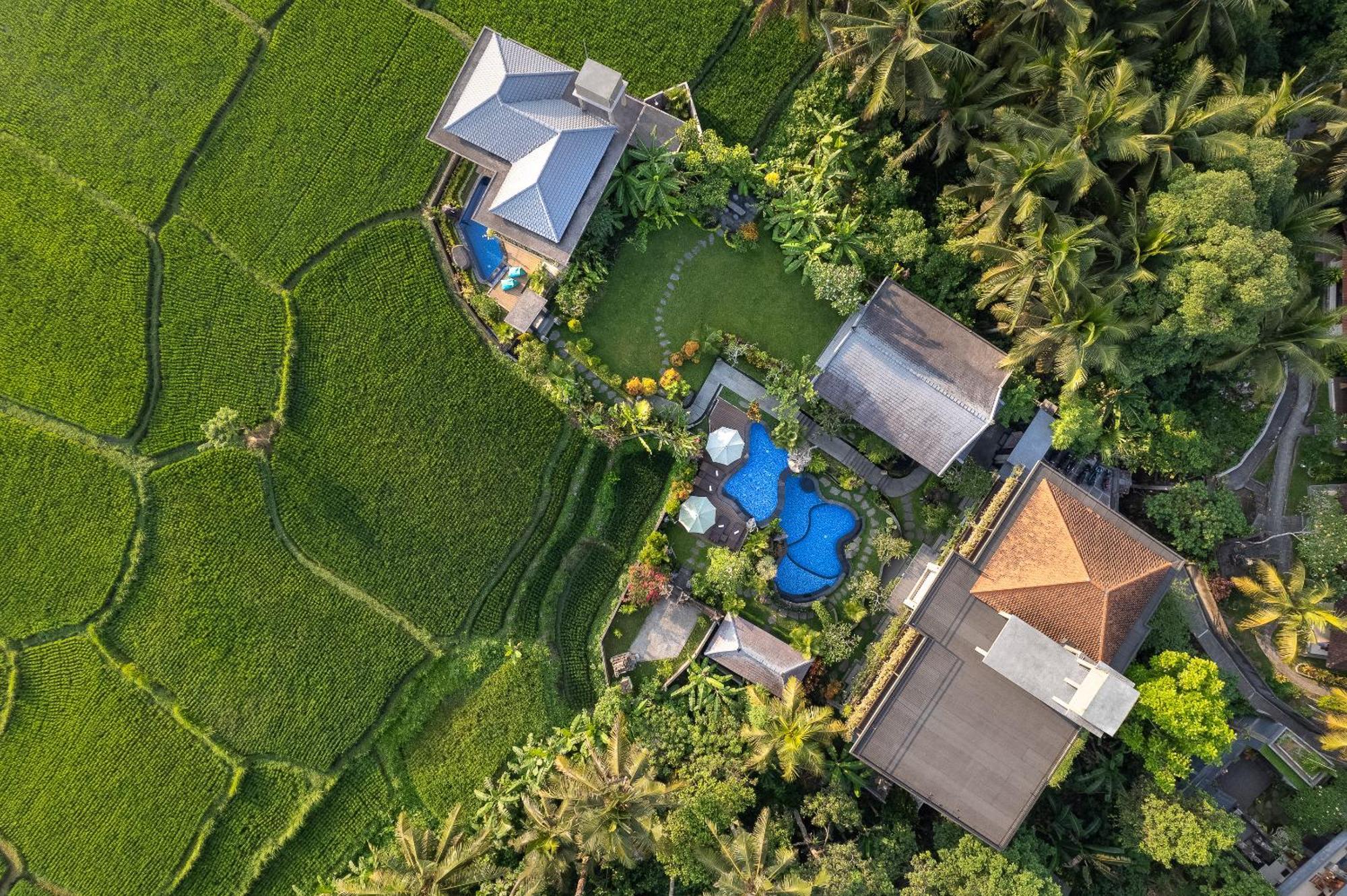 Gynandha Ubud Cottage Luaran gambar