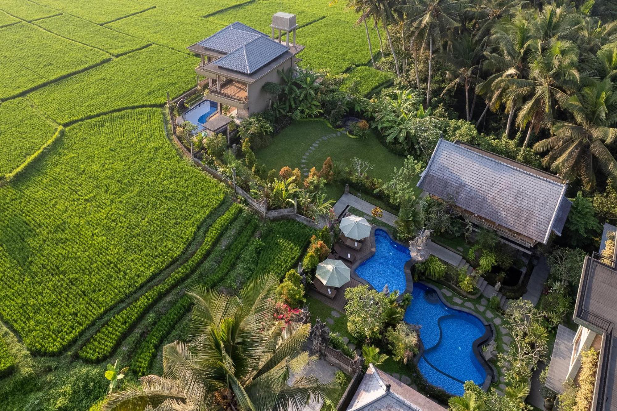 Gynandha Ubud Cottage Luaran gambar